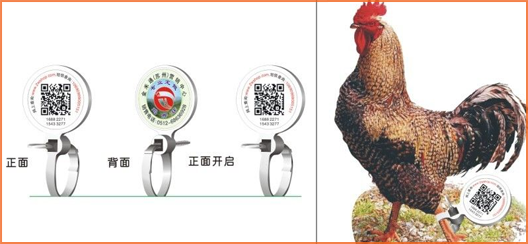 家禽溯源吊牌91视频一区二区标签,消除食品安全隐患