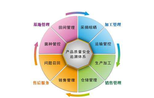 产品追溯系统有哪些公司，是怎样开发系统的？